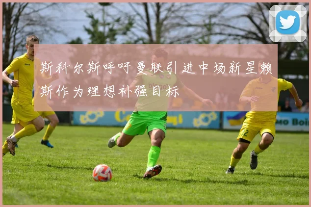 斯科尔斯呼吁曼联引进中场新星赖斯作为理想补强目标