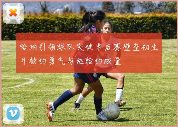 哈珀引领球队突破季后赛壁垒初生牛犊的勇气与经验的较量