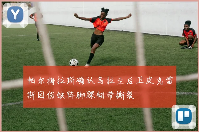 帕尔梅拉斯确认乌拉圭后卫皮克雷斯因伤缺阵脚踝韧带撕裂