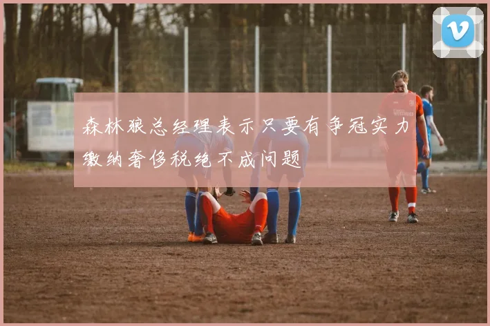 森林狼总经理表示只要有争冠实力缴纳奢侈税绝不成问题